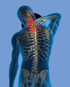 PS3-Spine Illuminated-Medium